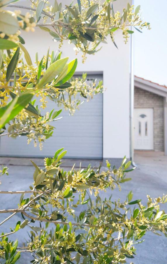 Apartments Tanya شيبينيك المظهر الخارجي الصورة